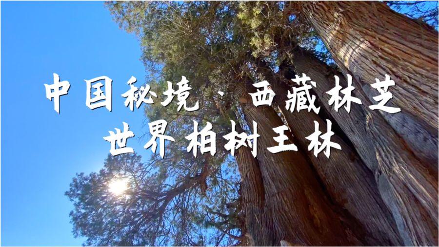 超三国无双2