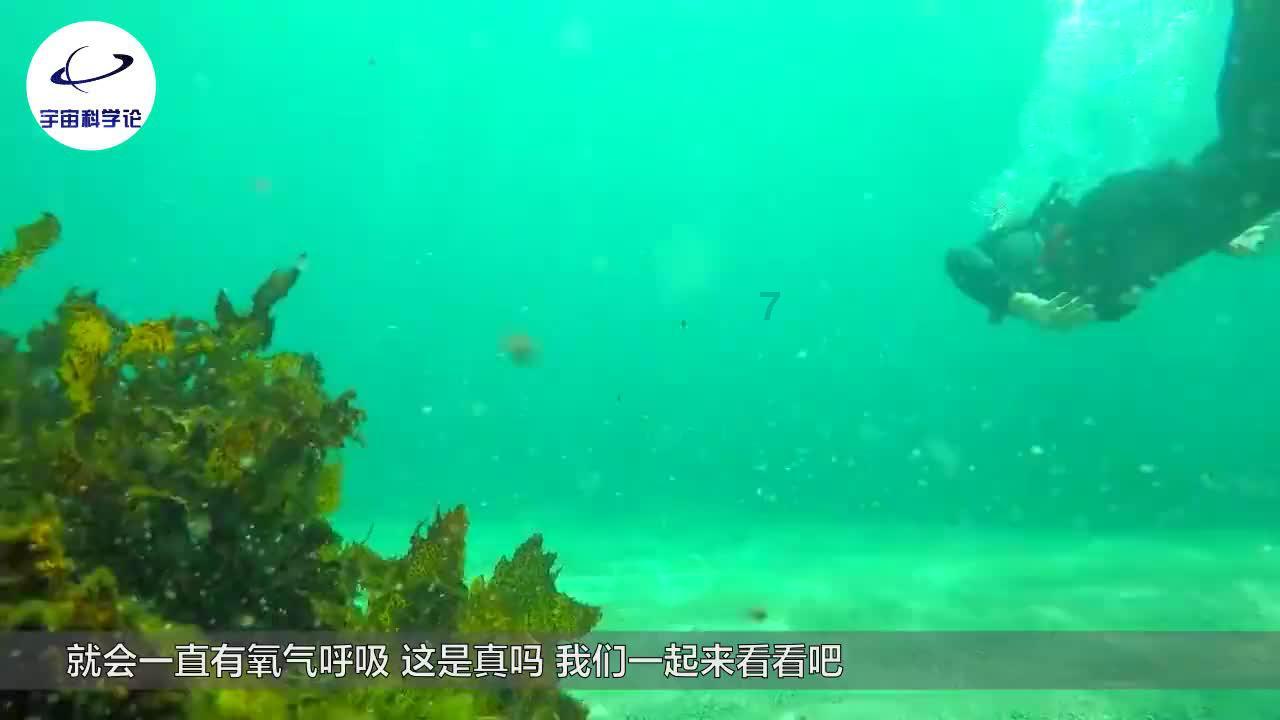2024浙江两会进行时|梁岩华:夯实学术研究成果 助力瓯窑产业发展