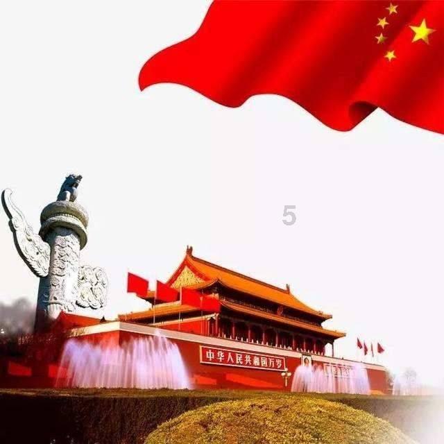 救援狗与猫