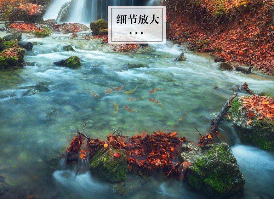 逗小猴开心系列202