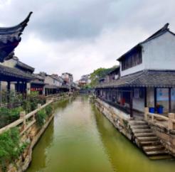 波浪理论大师普雷切特:当前市场状况与1929年股灾前类似,暴跌30%并不意外
